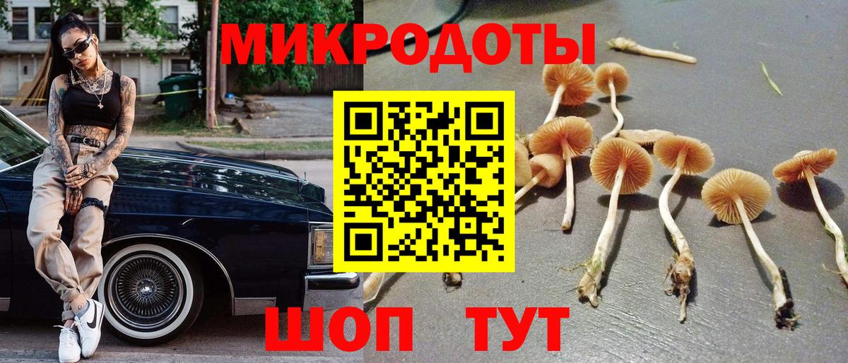 Псилоцибиновые грибы Magic Shrooms Кизляр
