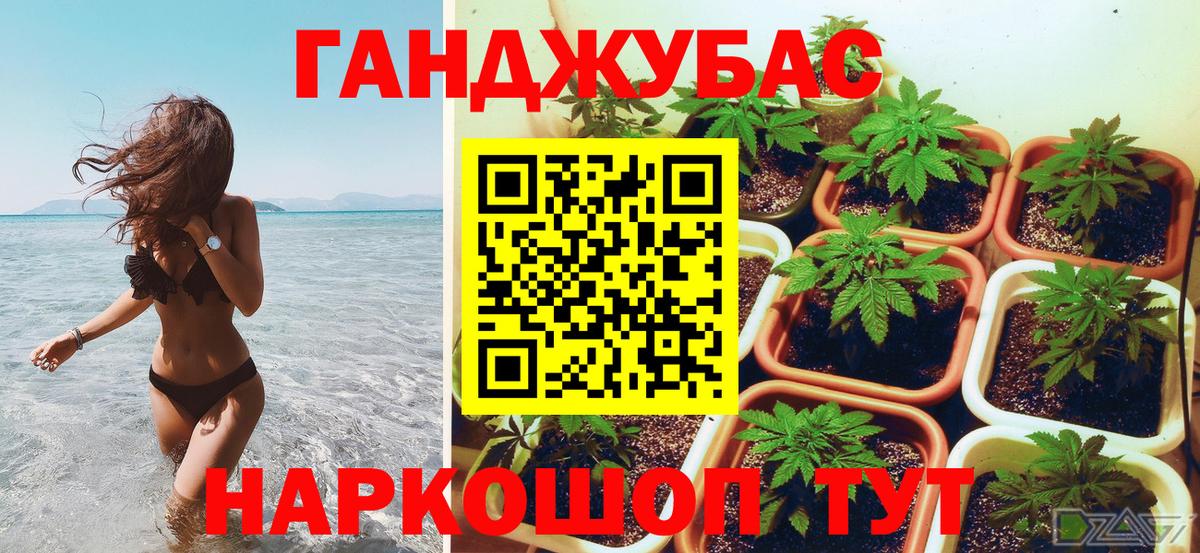 Шишки марихуана гибрид  Вход с VPN  МАРИХУАНА SATIVA & INDICA  Кизляр  Марихуана SATIVA & INDICA  МАРИХУАНА SATIVA & INDICA 
